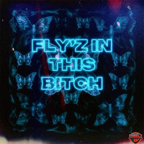 Fly'z In This Bitch (Explicit)