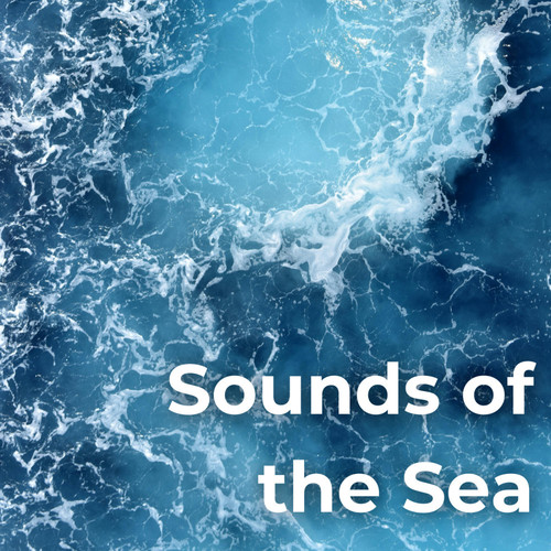 Sounds of the Sea