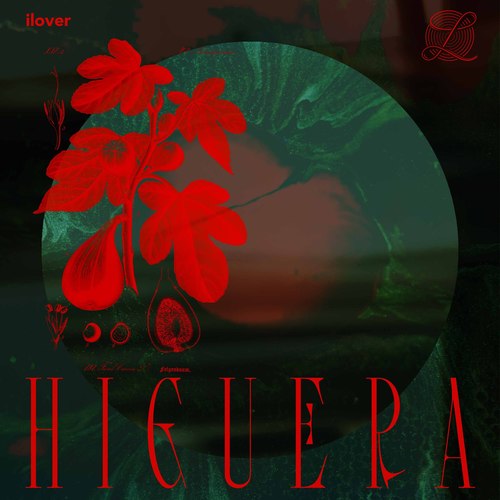 Higuera