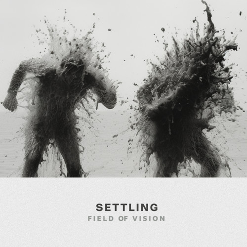 field of vision