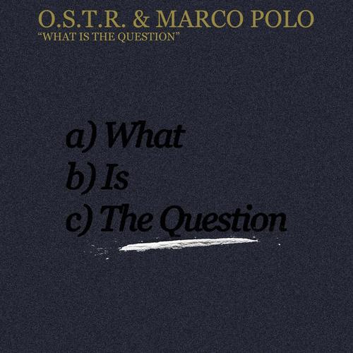 What Is The Question (Explicit)