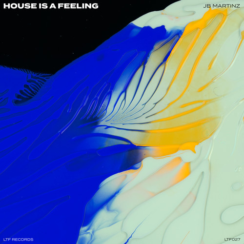 House Is A Feeling