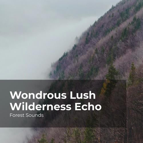 Wondrous Lush Wilderness Echo