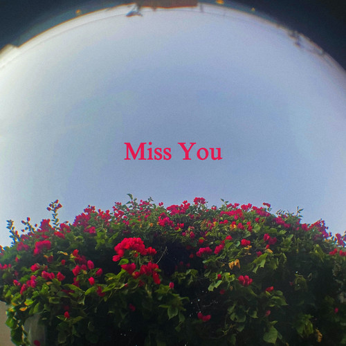 Miss You (Explicit)