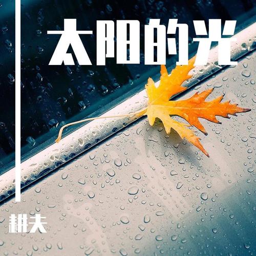 太阳的光