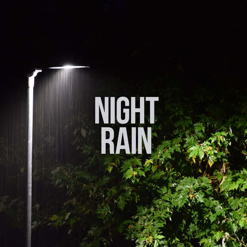 Night Rain