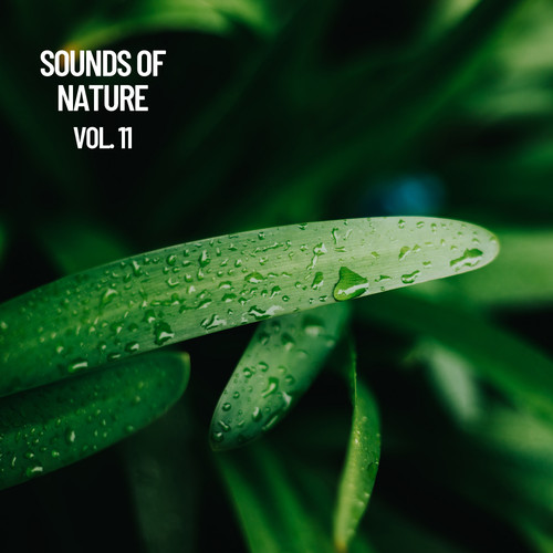 Sounds of Nature Vol. 11, Sounds of Nature Noise