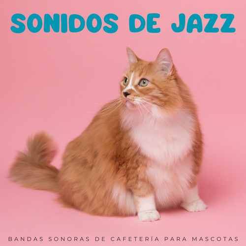 Sonidos De Jazz: Bandas Sonoras De Cafetería Para Mascotas