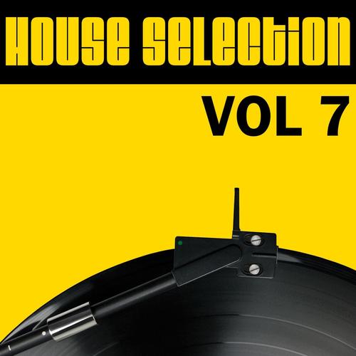 House Selection, Vol. 7