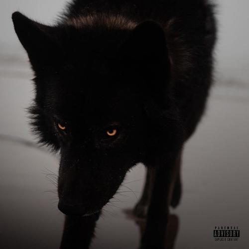 Meet The Wolves Vol. 2 (FULL MOON) [Explicit]