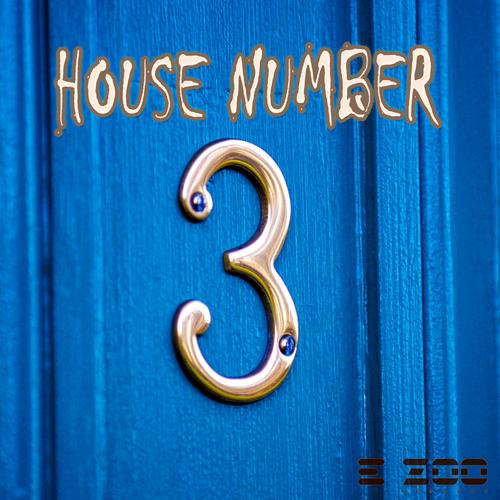 House Number 3