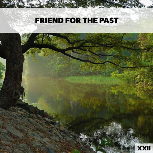 Friend For The Past XXII