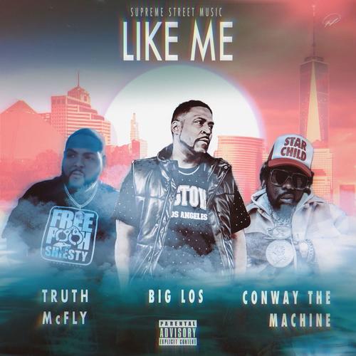 Like Me (feat. CONWAY THE MACHINE & TRUTH MC FLY) [Explicit]