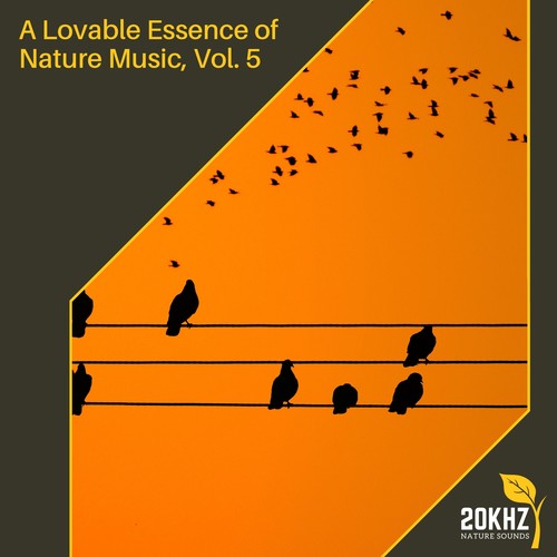 A Lovable Essence of Nature Music, Vol. 5