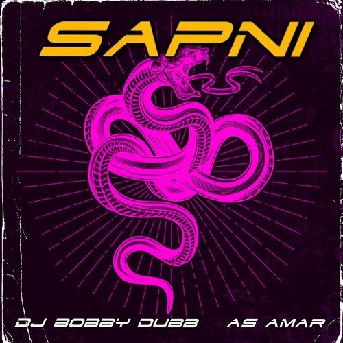 Sapni (Dubb Mix) [feat. As Amar]