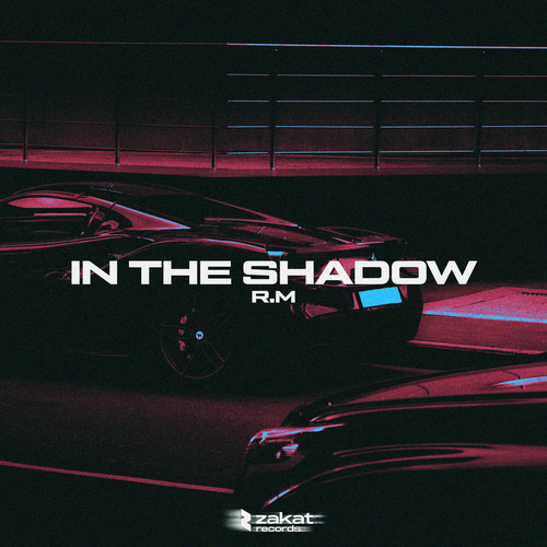 In The Shadow