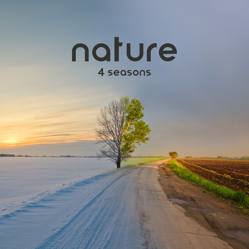 Nature 4 Seasons (Calming Music to Sleep, Meditation for Depression, Anxiety and Overthinking)