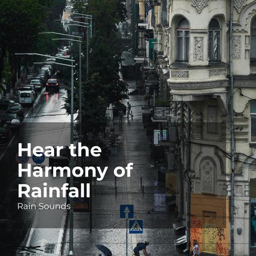 Hear the Harmony of Rainfall