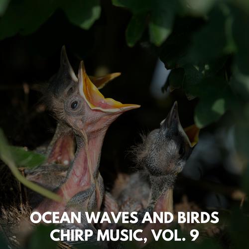 Ocean Waves and Birds Chirp Music, Vol. 9