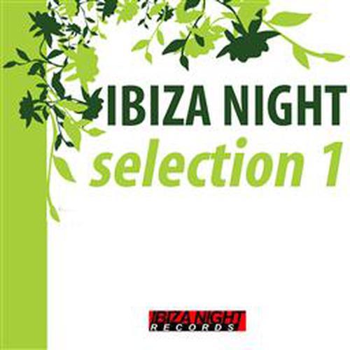 Ibiza Night Selection 1