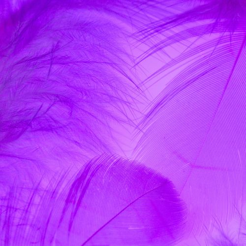 Strangers (Chill Remix - We'll Get in Your Car and You'll Lean to Kiss Me)
