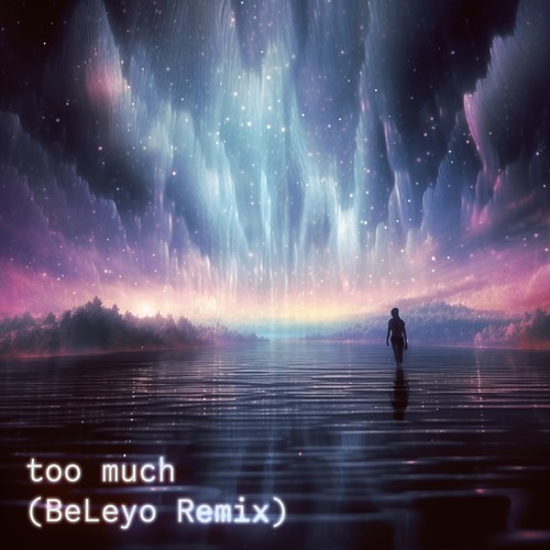 Too Much (BeLeyo Remix)