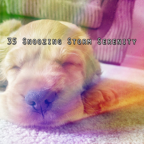 35 Snoozing Storm Serenity