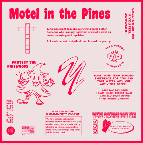 Motel In The Pines