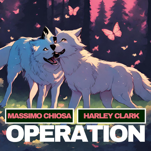 Operation (feat. Harley Clark)