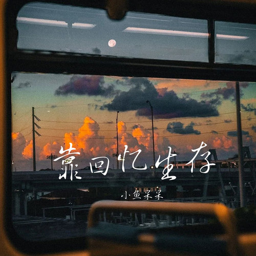 靠回忆生存