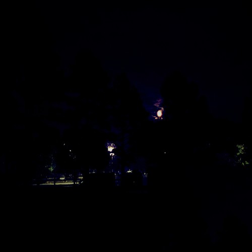 Just Vibe (Explicit)