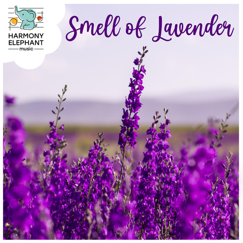 Smell of Lavender