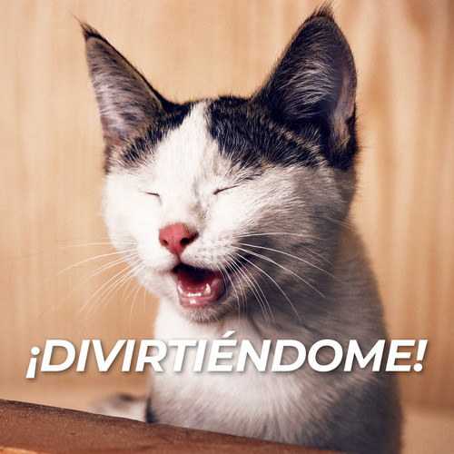 ¡Divirtiéndome! (Explicit)