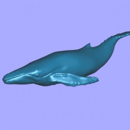 low poly whale song