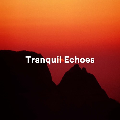 Tranquil Echoes: Ambient Sounds for Meditation and Relaxation