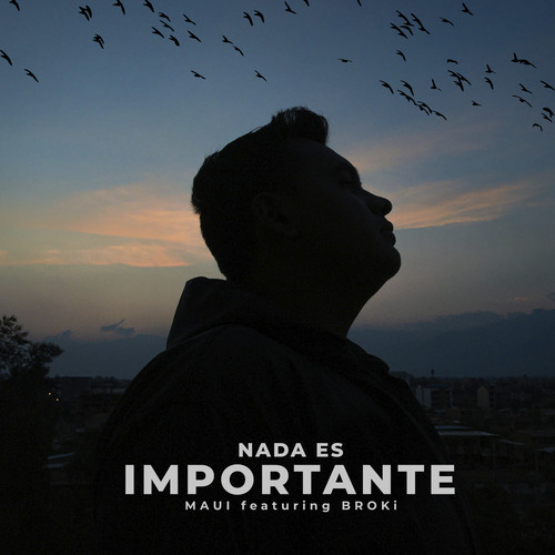 Nada es importante