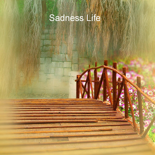 Sadness Life