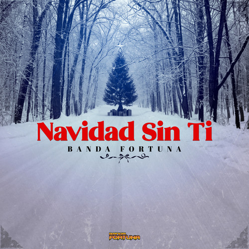 Navidad Sin Ti