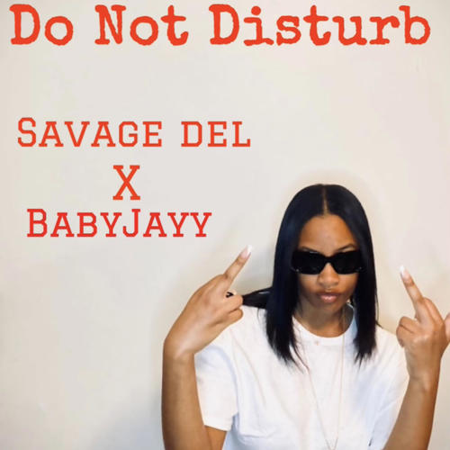 Do Not Disturb