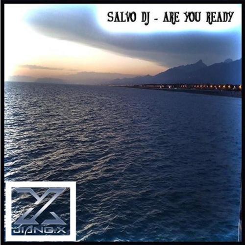 Salvo DJ - Single/2 (JIanG.x Remix)