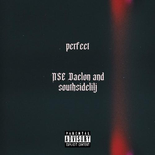 Perfect (feat. southsidelilj) [Explicit]