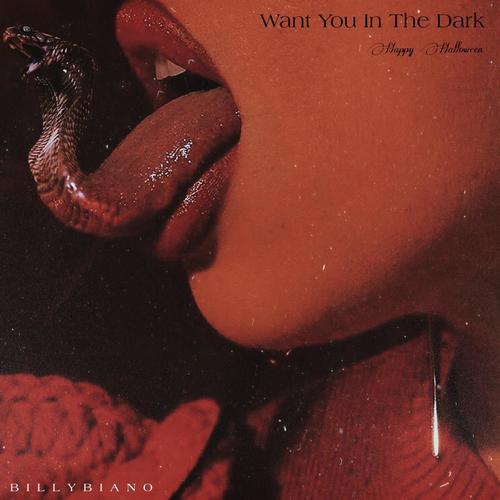 Want You In The Dark