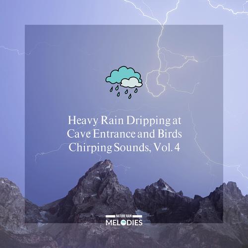 Heavy Rain Dripping at Cave Entrance and Birds Chirping Sounds, Vol. 4