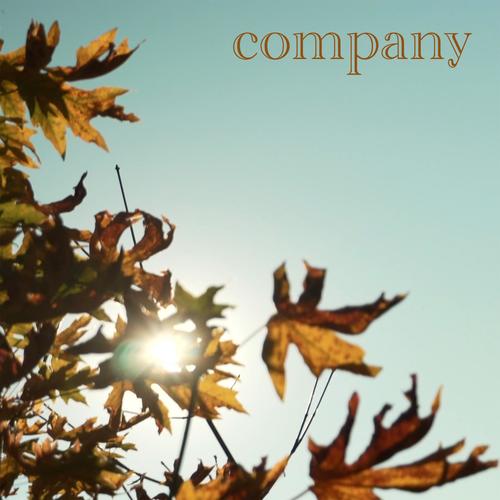 Company (feat. Lane Curtis) [Explicit]