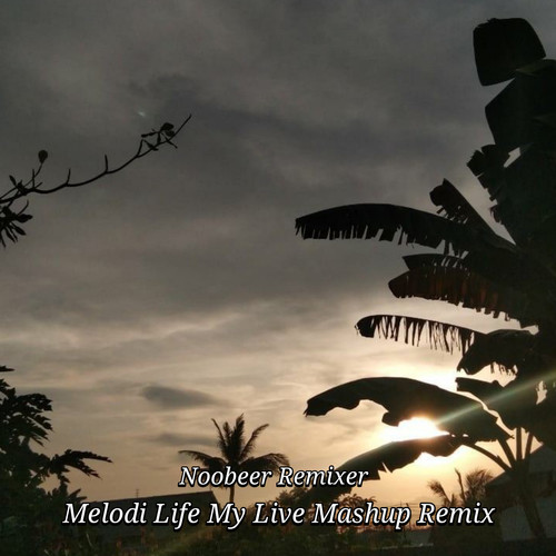 Melodi Life My Live Mashup (Remix)