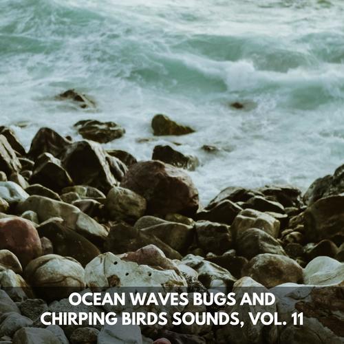 Ocean Waves Bugs and Chirping Birds Sounds, Vol. 11