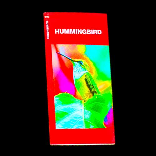 hummingbird