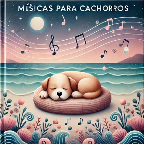 Musicas pra acalmar cachorros, cães e gatos