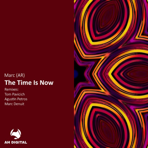 The Time Is Now (Tom Pavicich Remix)