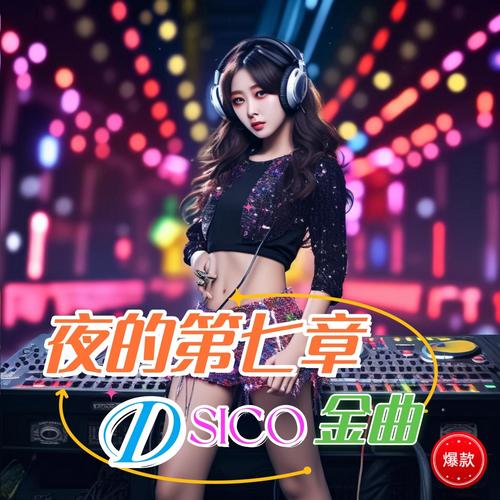 夜的第七章DISCO金曲